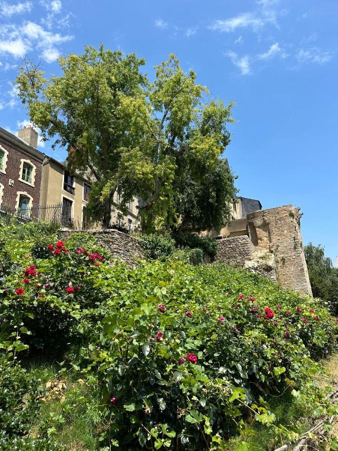 Appartement Vieux Mans Le Mans Bagian luar foto