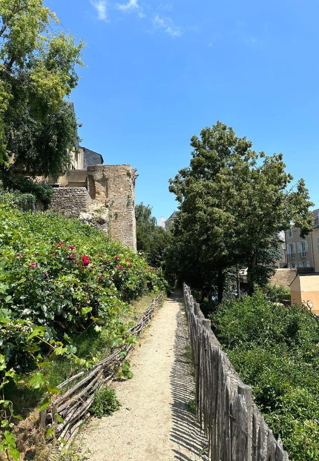 Appartement Vieux Mans Le Mans Bagian luar foto